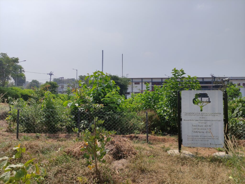 IMG_20250211_105803 miyawaki forest